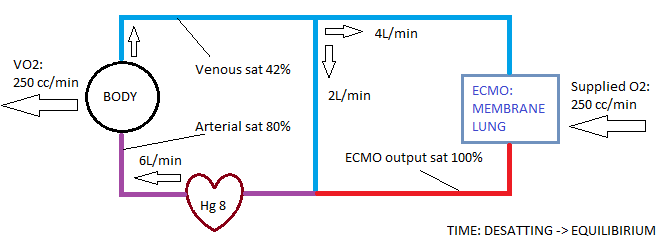 So back to our desatting patient: When equilibrium is reached, what is our arterial sat going to be?Well, you guessed it. Based on equation 1, it will be… *80%*. Just like the overnight team told you. Let’s see the math, and update our ECMO model
