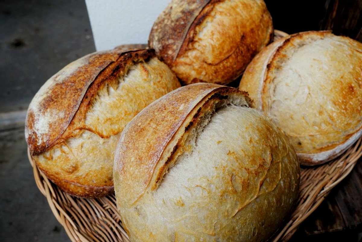 goodforsoul16's tweet image. ขนมปังคันทรี่เบรด ทำด้วยวิธี Respectus Panis method อีกที รสชาติดีมาก นุ่มนวลไม่เปรี้ยวเกินไป ขออนุญาตลงสูตรในคอมเม้นนะคะ คิดว่ามือใหม่หัดทำก็ทำได้ หรือเผื่อวันไหนขี้เกียจตื่นมาทำเลอแวงหรือฟี้ดสตาร์ทเตอร์ #ชุมชนขนมปัง