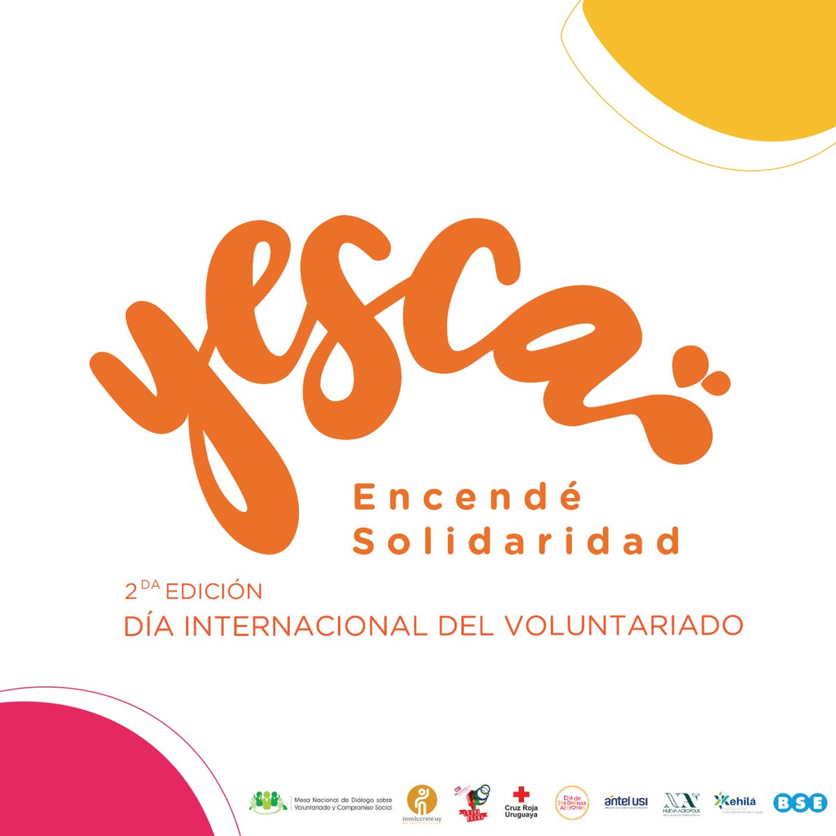 Mesa Voluntariado tweet media