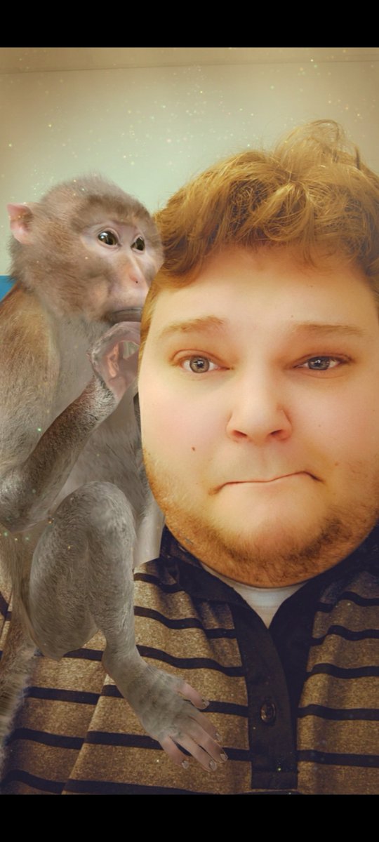 Don't listen to me. Listen to Mr. Monkey Man. O O AH AH SLEEP RULES! #mattress #stl #sleeprules #shoplocal