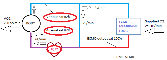 Let’s finish this. When the venous sat is 62%, what’s our peripheral arterial sat? You guessed it. 87%!The overnight team was telling the truth. Transfusing from 8 to 12 increased the pt sats from 80 to 87.We've all been the overnight team - have some faith in them/us!