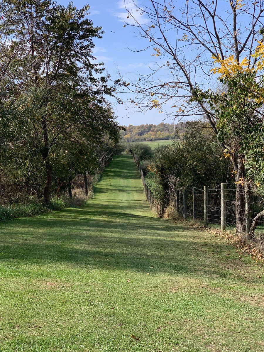 Kernstown Battlefield Cross Country tweet media
