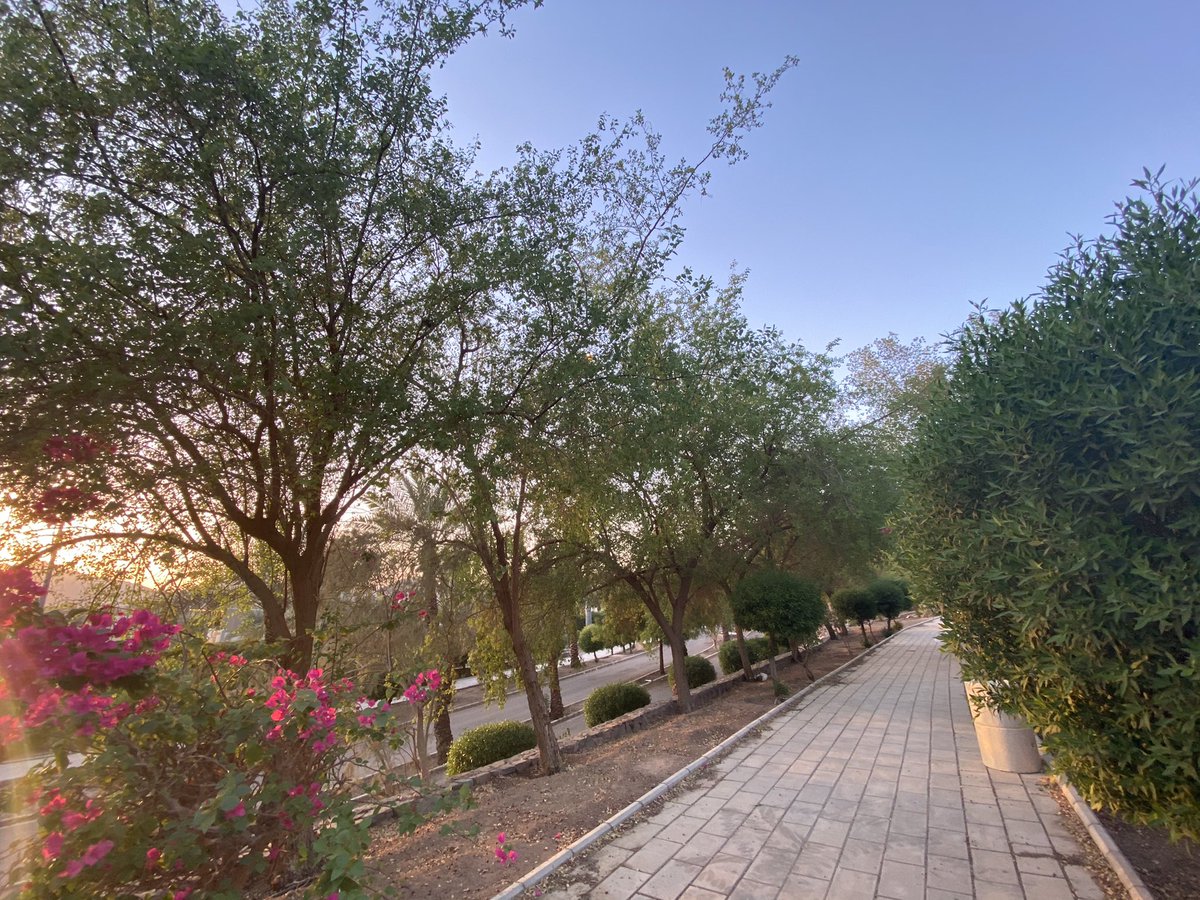 مشاريع المدينة On Twitter صور ممرات المشاة في حديقة الأمير محمد بن عبدالعزيز بـ المدينة المنورة على جبل أحد طريق العيون