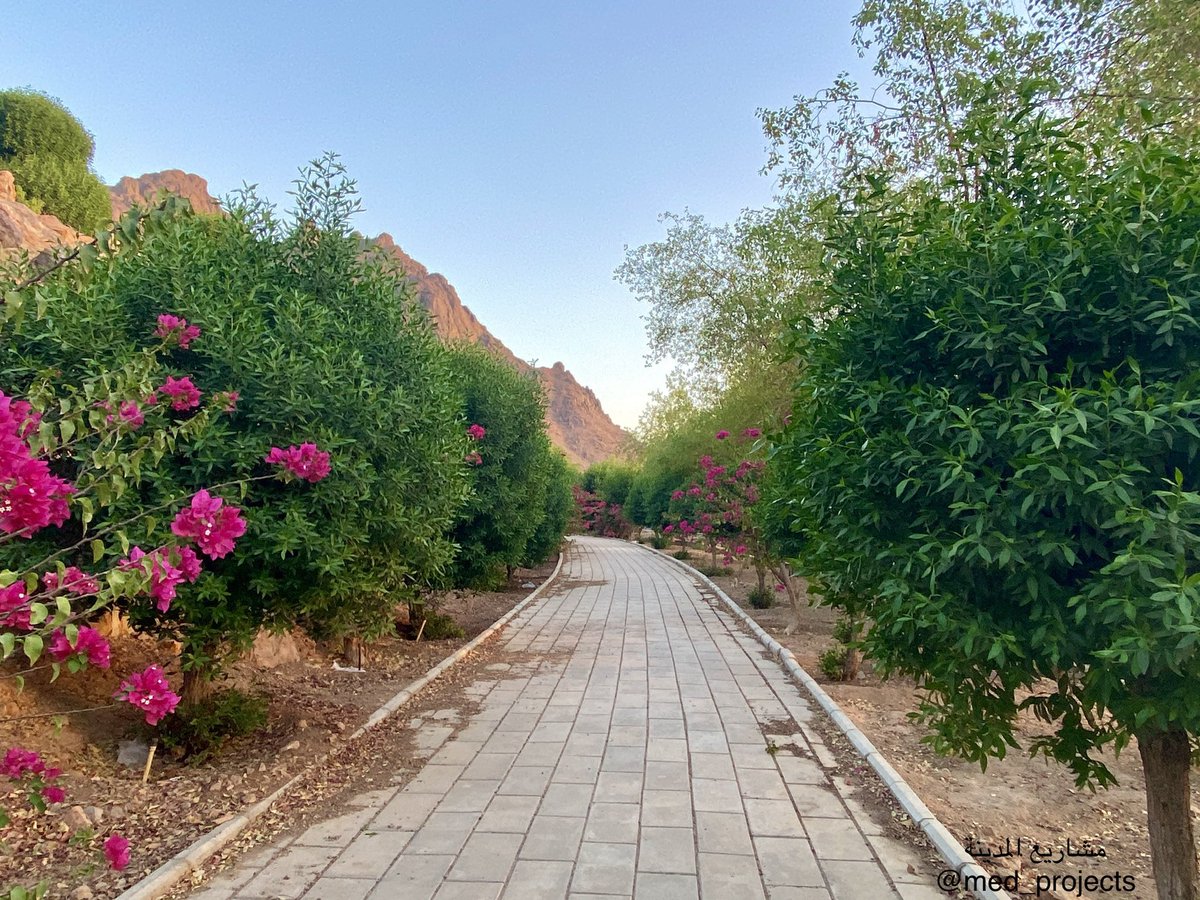 مشاريع المدينة On Twitter صور ممرات المشاة في حديقة الأمير محمد بن عبدالعزيز بـ المدينة المنورة على جبل أحد طريق العيون