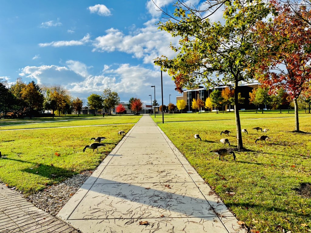 KayliThompson's tweet photo. I was greeted by our feathered friends on campus this morning. Look at those trees and that sky. @wrightstate @wsuguardian #falloncampus #campusbeauty #wrightstaterightchoice #raiderup https://t.co/tYAYW7Rjga