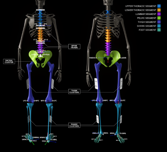 Check out our new paper the ‘Imperial Spine’ marker set for evaluation of spinal and lower limb kinematics. Time to look at movement that matters to people. 
@VersusArthritis <a href="/MSkLab1/">MSk Lab</a> <a href="/enrica_papi/">Enrica Papi</a> <a href="/atmphillips/">Andrew Phillips</a>
<a href="/strutton_paul/">Paul Strutton</a> <a href="/ImperialSandC/">Surgery and Cancer</a> <a href="/ICBiomechanics/">ImperialBiomechanics</a>
rdcu.be/b8WKh