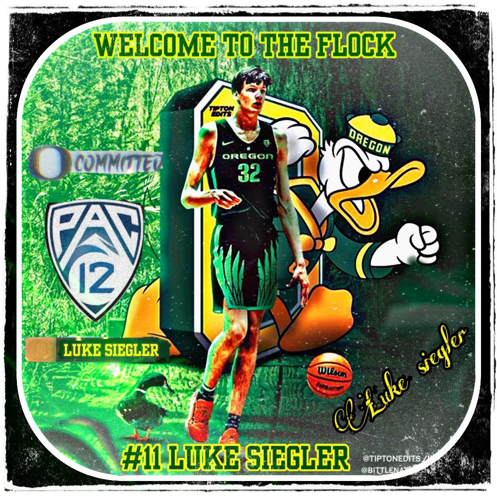 CSBADucks's tweet photo. I’d like to welcome the newest member to the Ducks squad! Luke Siegler! #CSBABasketball https://t.co/Vo2T8tgUz5