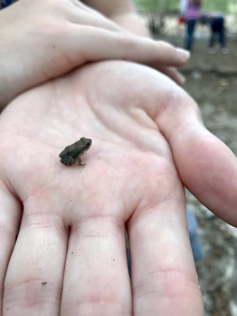 RJH WIN time at the pond before the rain hit.  There are baby frogs everywhere! <a href="/whatsnewatrjh/">Robinson Jr. High</a> #robinsonisd