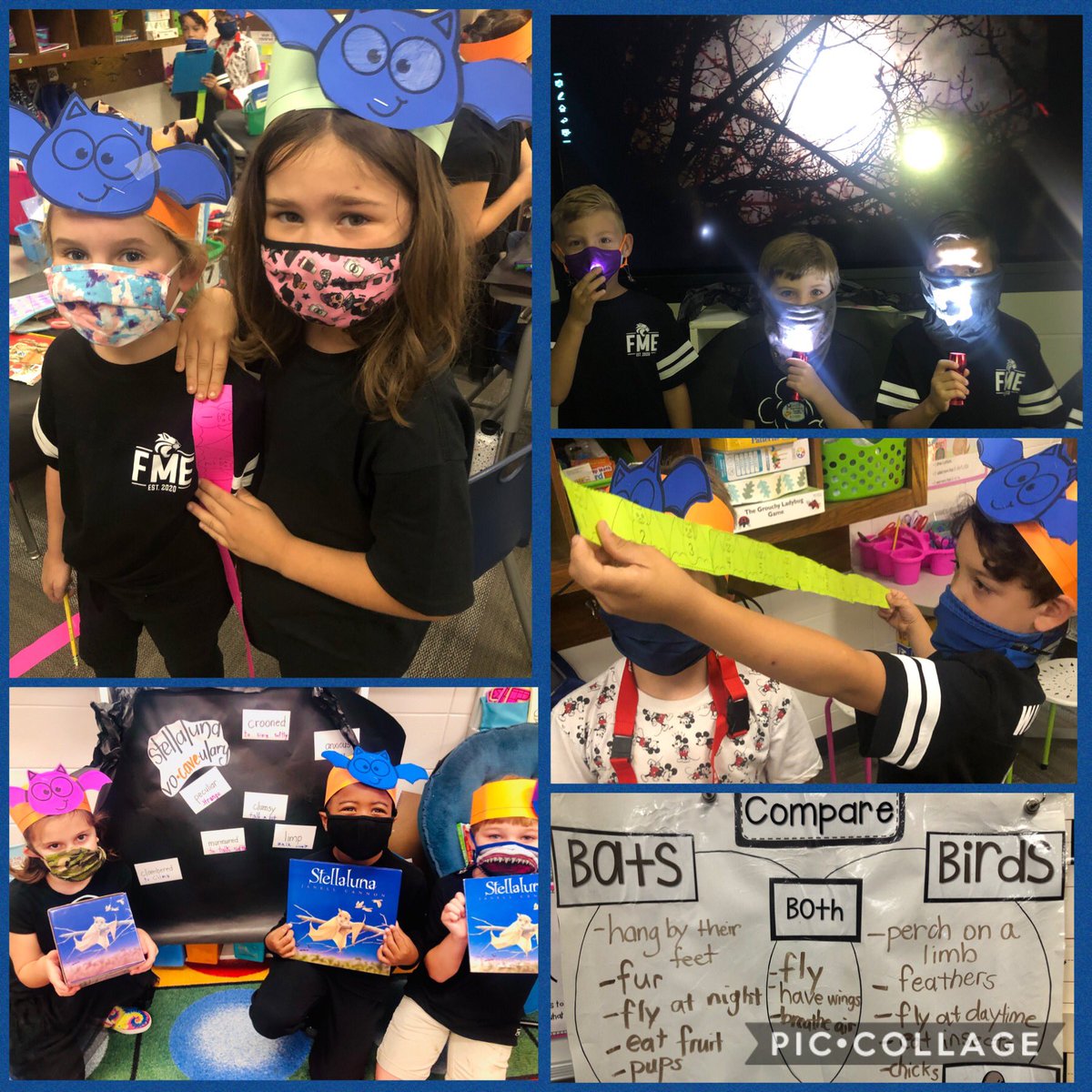 laurieteach's tweet photo. 🦇1st grade went a little batty today!🦇#echolocation #stellaluna #flashlightfun #FridayFunday #nonfiction #fiction #batart #batmeasuringtape #vocabulary #venndiagram #iteachfirst #puzzlefun #fmeistheplacetobe https://t.co/m9PLJbG9Ji