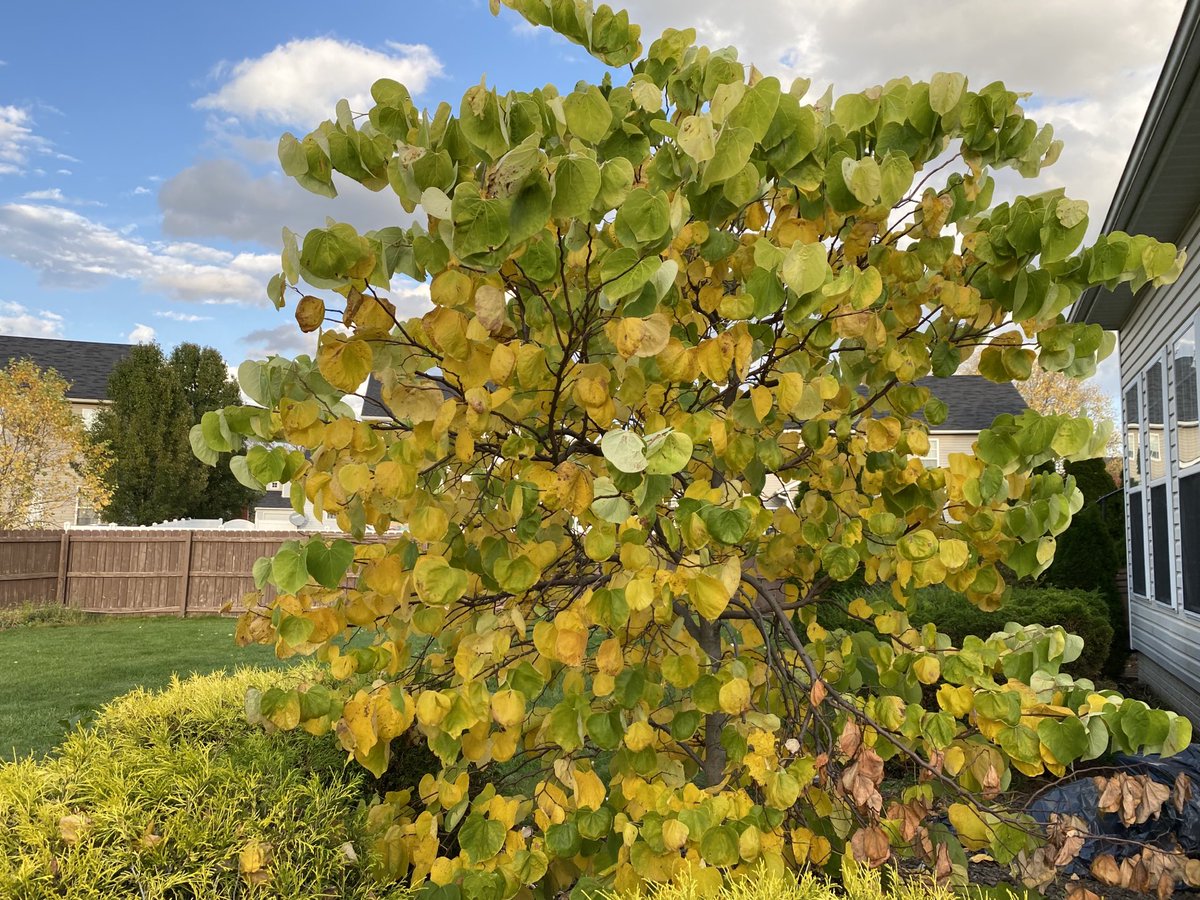 Aj Colby Ajcolby Twitter