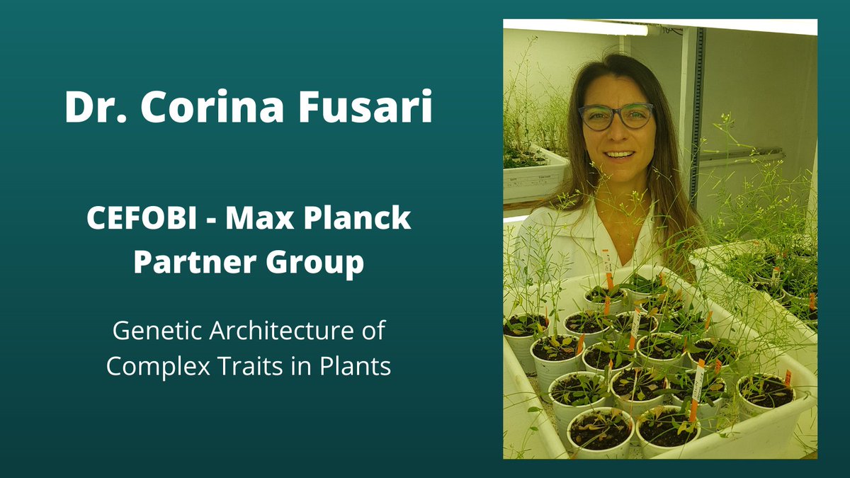 CEFOBI_CONICET's tweet photo. @CEFOBI_CONICET is super proud of @CCFusari awarded with the Max Planck Partnership @maxplanckpress #CorinaFusari group focus on #plantgenetics #GWAS #complextraits #Arabidopsis in collaboration with #MarkStitt @MPIMP_Potsdam
Congratulations @CCFusari ππ#maxplanckpartnergroup https://t.co/aHjqNZZRzO