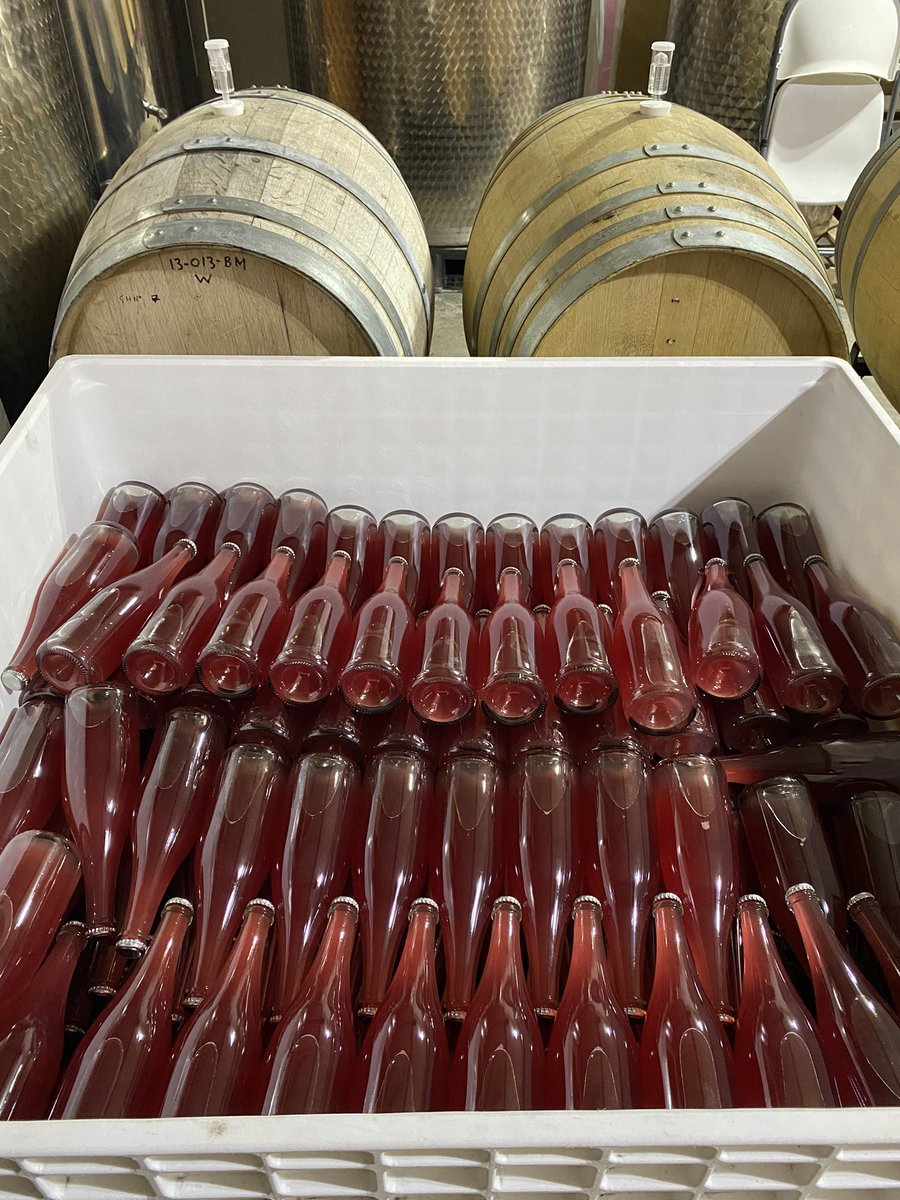 Shhhhh... There’s nothing to declare here.
•
#syrah #rose #syrahrose #sparklingsyrahrose 
#sparklingwine #naturalwine 
#petnat #bcwine 
#fingerscrossed 
#unsanctioned
#blackmarketwine