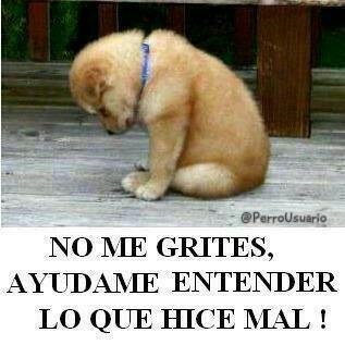 joseanchustegui's tweet photo. #NoAlMaltratoAnimal. 
Confió en que hablarás por mi
@maitebastidash 
@jdguzman77 https://t.co/tN5oTeGzMg