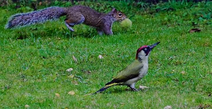 Sometimes we just miss what's going on around Us