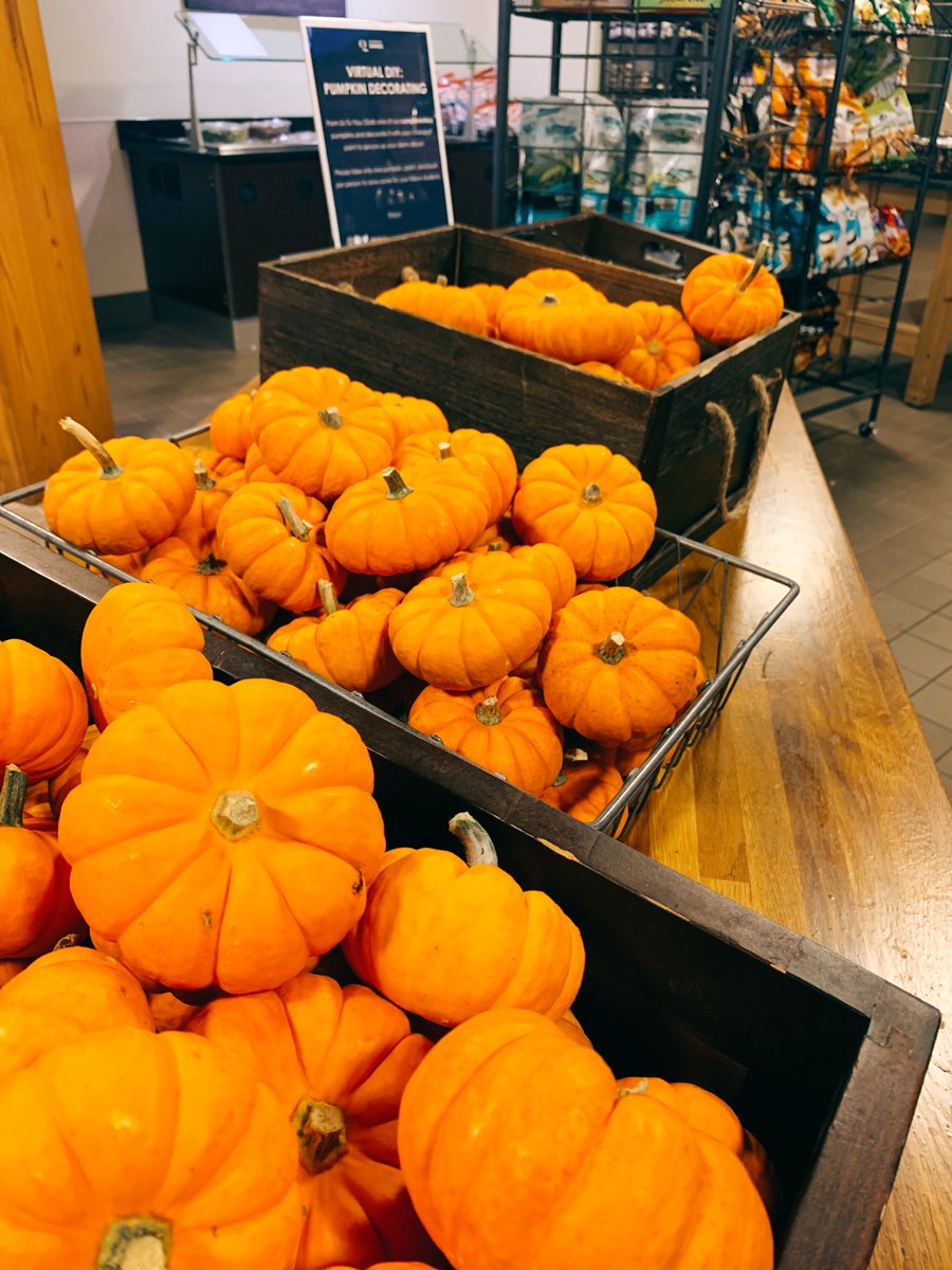 QUDining's tweet image. Make sure to stop by York Hill and Cafe Q tonight to pick up your FREE mini pumpkin, paint, and brush for a quick dorm deco accessory! Hurry before they’re all gone :) #virtualdiy