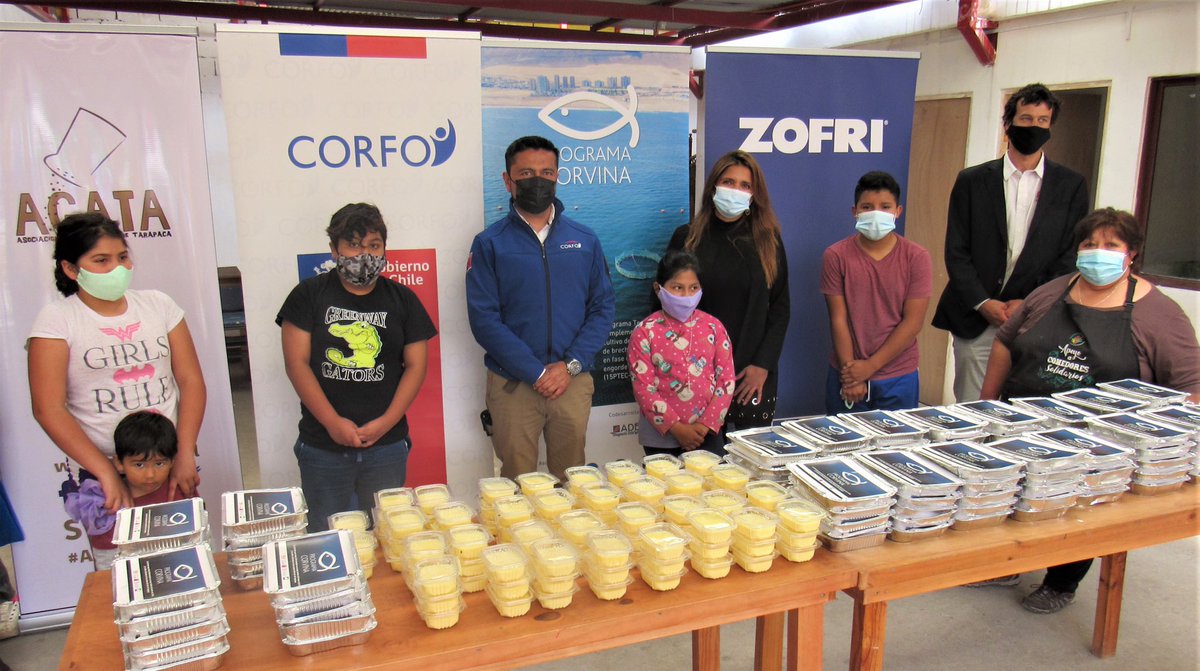 fundacionchile's tweet photo. El Programa Corvina entregó 450 almuerzos en base a pescado de la especie cultivada en el programa, a comedores solidarios de Alto Hospicio.                    #ProgramaCorvina es impulsado por Fundación Chile con el apoyo de @Corfo y la ejecución de la #UNAP https://t.co/EPhbgYZsRk