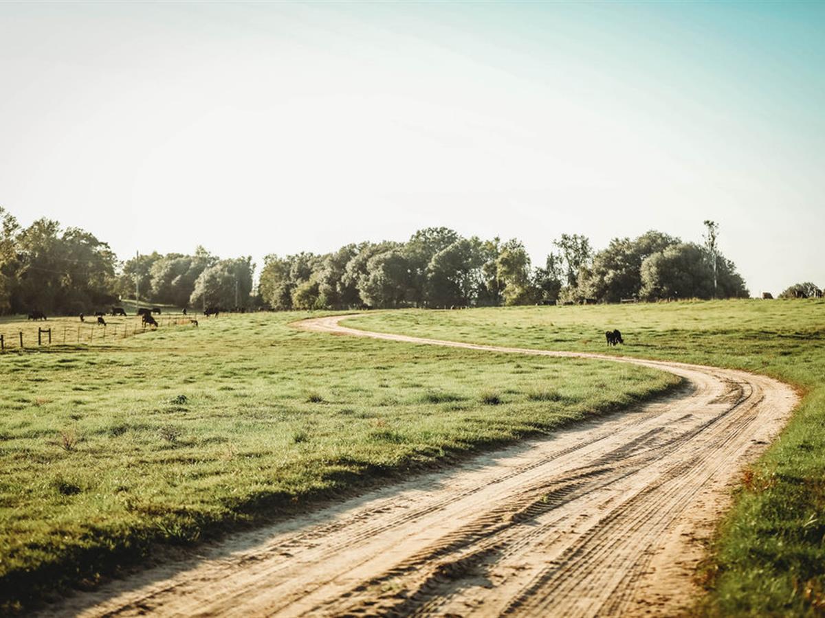 LANDFLIP's tweet photo. This 450 +/- acre working cattle ranch in Madison Co., FL, has been producing high quality cattle for over 30 yrs. There’s a 4BR/2BA home and an abundance of wildlife. Learn more on the #LANDFLIP BLOG. Offered by Gary Silvernell w/ Southeastern Land Group. https://t.co/8HUIso4ic3 https://t.co/6jEgkfb7kY
