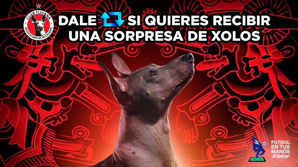 ¡Como buenos guerreros del Mictlán, seguiremos luchando hasta el final!. 💪 Demuéstrale tu apoyo a <a href="/Xolos/">Xolos</a> RT y recibe una sorpresa. 😎 #FutbolEnTusManos