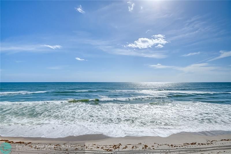 Carmen Aviles tweet media