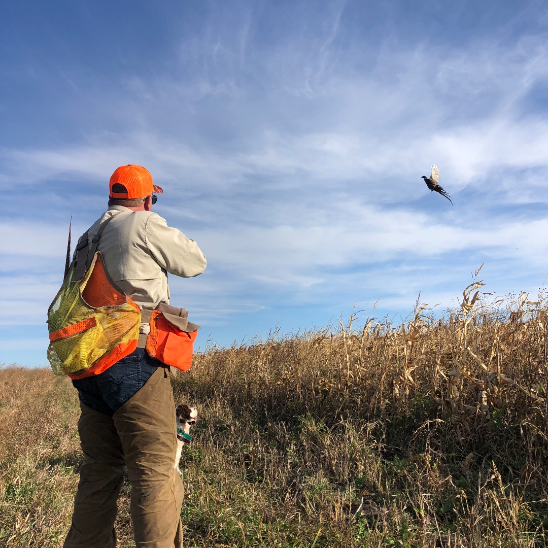 czusafieldsport's tweet photo. Rooster!
#CZUSAfieldsports #CZUSA #pheasanthunting #pheasant #uplandhunting #uplandhunt #wingshooting #SouthDakota #Rooster #pheasantseason #pheasantseason2020 #hunting #projectupland #shotgun #CZshotgun https://t.co/ffdiz2Lqm9