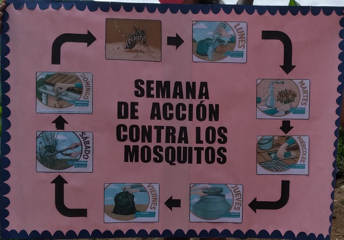 Rdfm08's tweet photo. Semana de acción contra el mosquito,se celebra cada año del 18 al 23 de Octubre con el propósito de continuar la lucha contra el Dengue, eliminando criaderos de zancudos y educando a la población en acciónes de prevención en todos nuestros 104 establecimientos de salud. https://t.co/wCZmuQxRGU