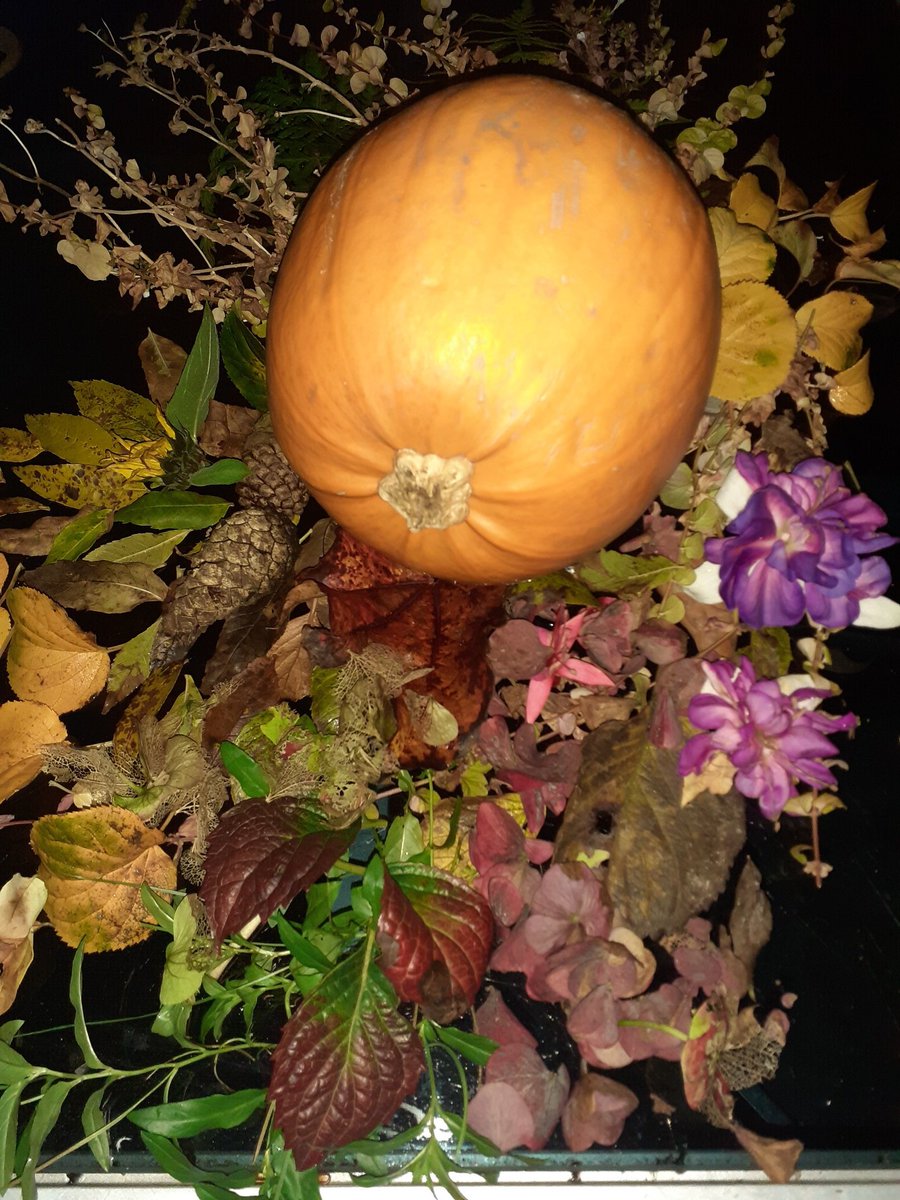 FPS_5_Ravenclaw's tweet photo. Spreading a pumpkin surprise with Miss Little's garden forage... with the #100leafchallenge @RFJamesUK #fpsart Have a go and type in the #@tags above. π https://t.co/IUAfqxZwqh