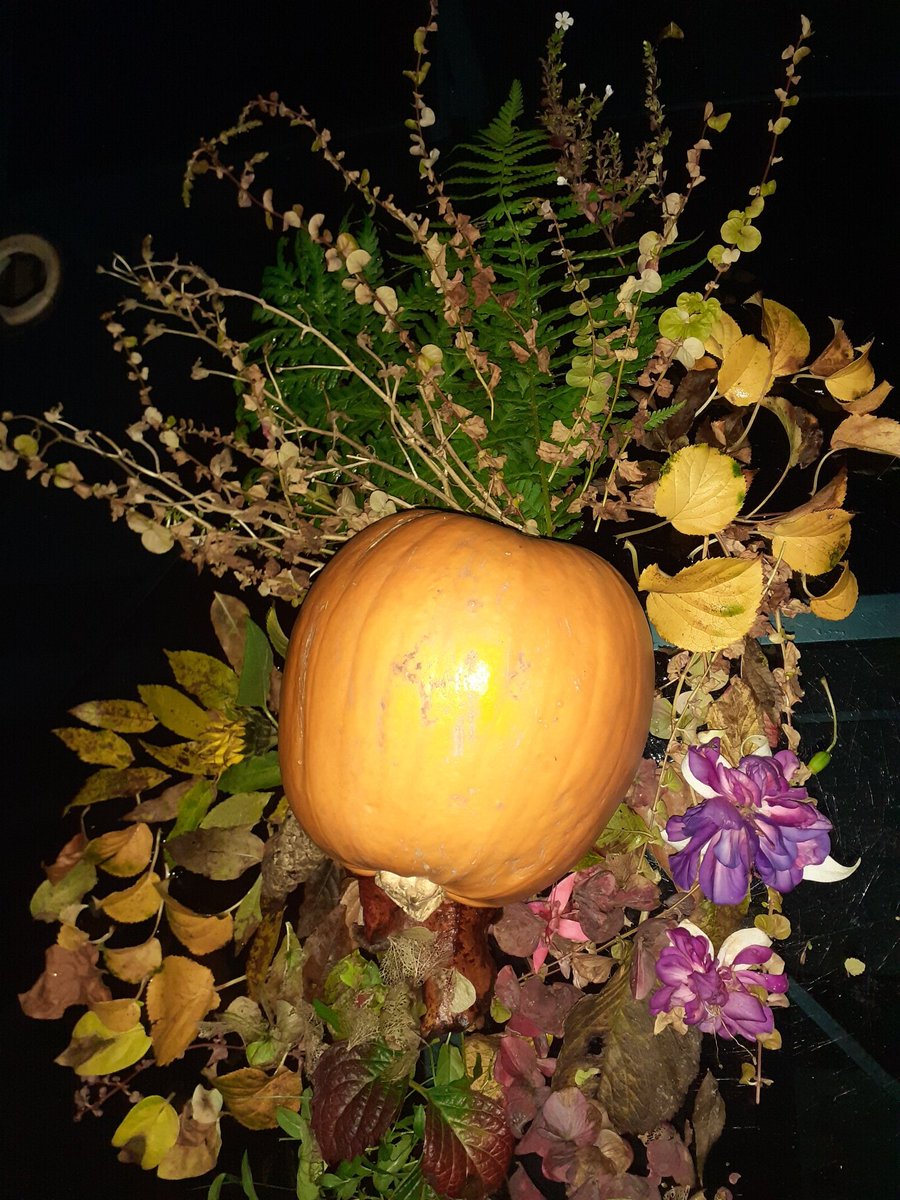 FPS_5_Ravenclaw's tweet photo. Spreading a pumpkin surprise with Miss Little's garden forage... with the #100leafchallenge @RFJamesUK #fpsart Have a go and type in the #@tags above. π https://t.co/IUAfqxZwqh