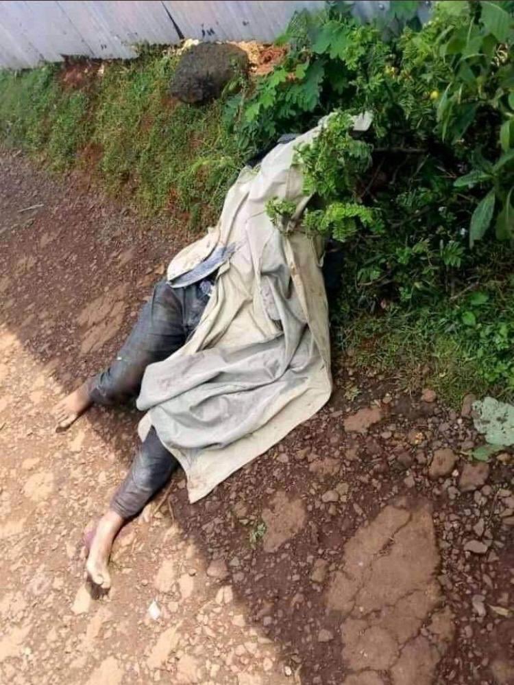 nj_nonii's tweet photo. Neqemte black day😭😭😭

5 oromo youth were executed by Abiy's gangester a.k.a Ethiopian defence forces in Neqemte,Oromia😭😭😭😡😡😡 
#OromoProtests 
#Abiy_Must_Go 
#FreeAllOromoPoliticalPrisoners 
@Mike_Pence 
@UNHumanRights 
@hrw 
@amnesty 
@AmnestyEARO 
@Ethiopia_UN https://t.co/ntIzruiY2I