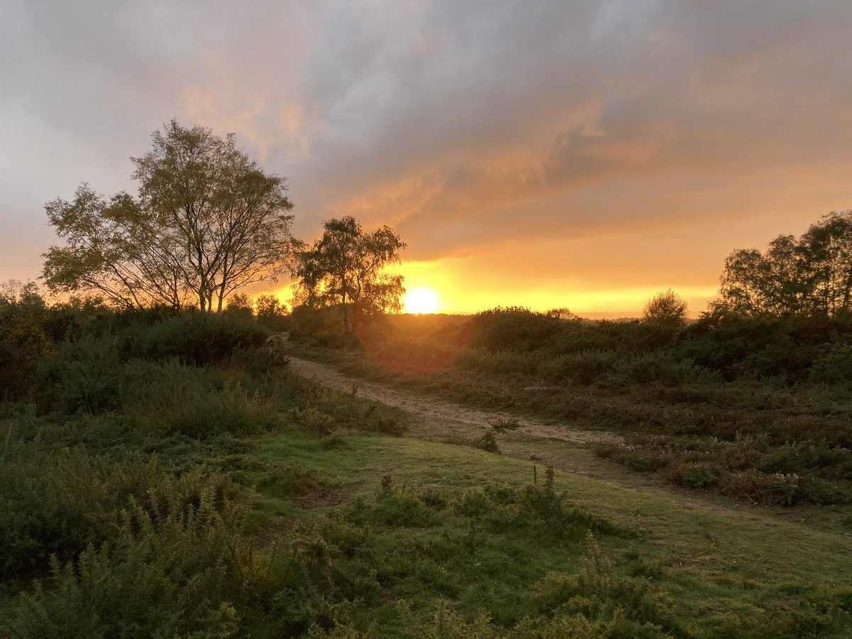 astro_timpeake's tweet image. Starting half-term with a walk between rain showers; dirty boots, muddy boys and a wet dog. Nothing beats the simple things in life. #FridayFeeling
