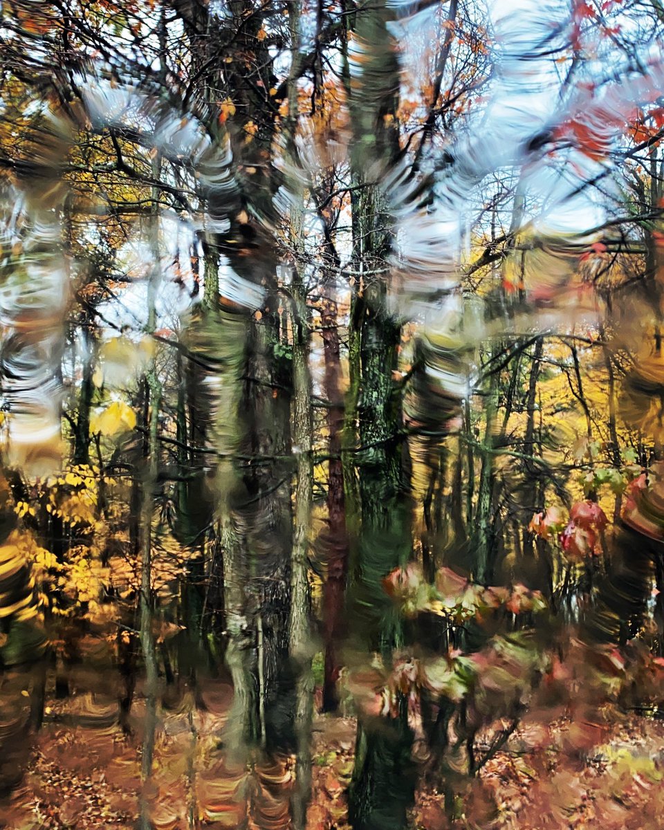 Lynndylou5775's tweet photo. #myphotography #throughmyeyes #autumnrain #chasingcolor #findingpeace 💙🍂🍁 https://t.co/gyMxAEK1n5
