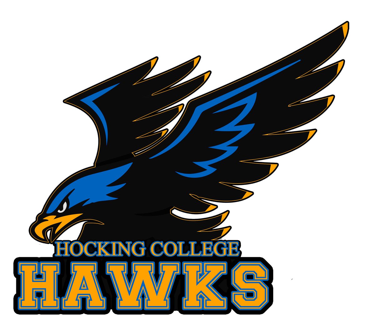 MichaelWSeybold's tweet photo. I am very grateful and excited for the opportunity to play at Hocking. I am a full NCAA qualifier and my recruitment for the 2021 season is still open! @ted_egger @HockingFootball https://t.co/Dtd9wSTYfy