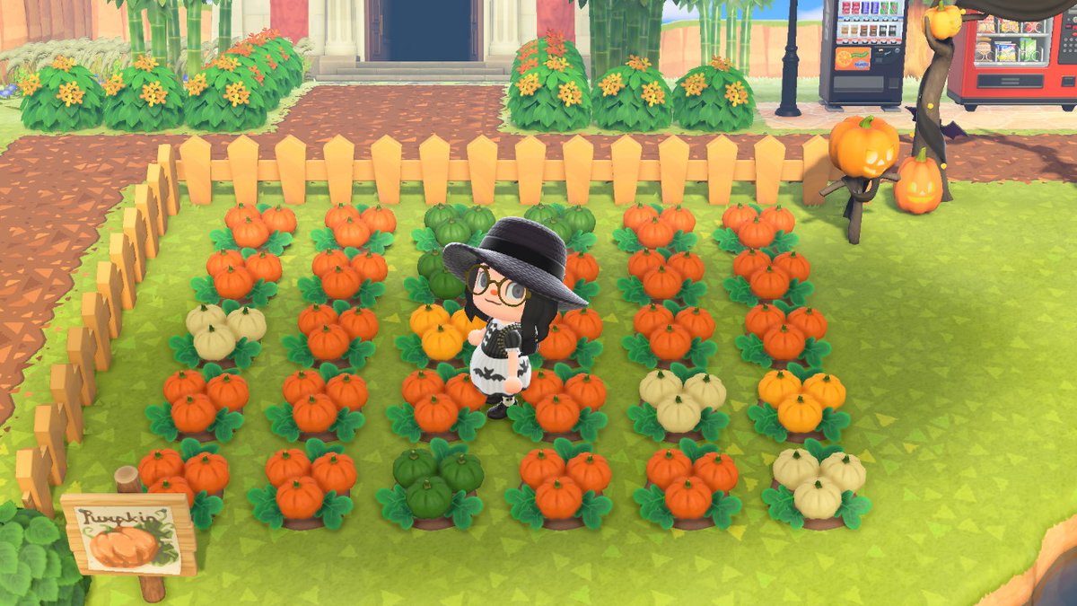ElleRPea's tweet photo. #AnimalCrossing #ACNH #NintendoSwitch https://t.co/YfAZBvJNyh