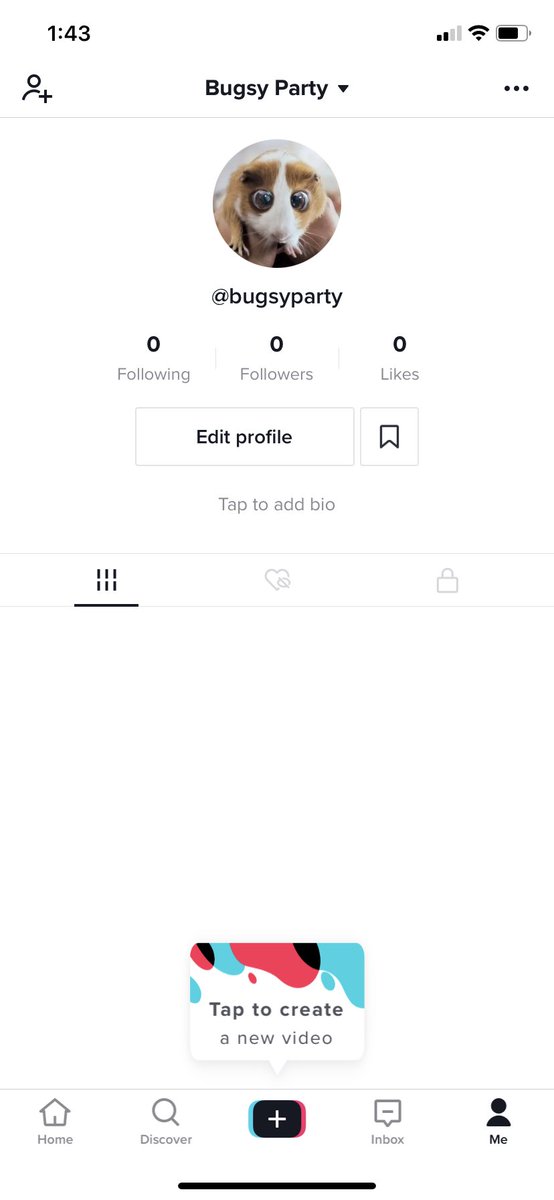 follow our TikTok and Instagram to stay updated on the Bugsy Parties journey to victory 🥳😇