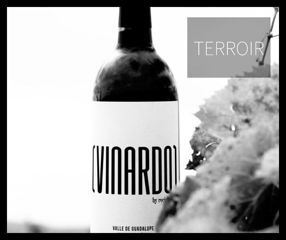 VinardoMx's tweet photo. Las uvas utilizadas para la producción de Vinardo, son del Valle de Guadalupe, una región privilegiada en cuanto al clima y las condiciones del suelo que permiten producir vinos de muy alta calidad. https://t.co/jSe8y2W4Qt