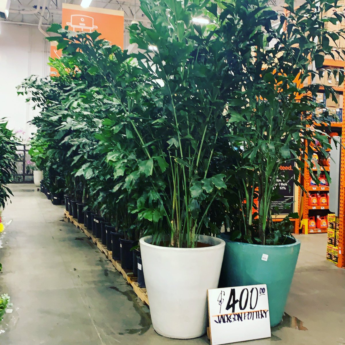 #MightyCostaMesa Got Tropicals 🌴🌴!! <a href="/JabarrBean/">Jabarr Bean</a> @downeypackerfan <a href="/Steven_Mousseau/">Steven Mousseau</a> <a href="/JeffKellerHD/">Jeff Keller</a> <a href="/SilverFoxTHD/">Gregory Schaeffer</a> <a href="/THD_Gabby/">Gabrielle Sandvik</a> <a href="/RyanGriffinTHD/">Ryan Griffin</a> <a href="/TylerBrittTHD/">Tyler Britt</a> <a href="/partida_maritza/">Maritza Partida</a>