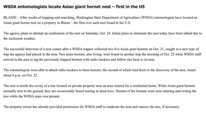 Washington State entomologists have successfully used radio trackers to locate the US’s first Asian Giant Hornet nest. In August, I wrote about the race to find the nest before bee-beheading season, and how DNA sequencing might help: https://www.wired.com/story/inside-the-sprint-to-map-the-murder-hornet-genome/amp