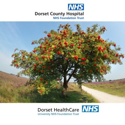 Rowan Rehab (stroke and neuro) tweet media