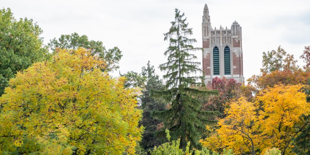 michiganstateu's tweet photo. B1G fan of fall. https://t.co/x0L4b9Jxr5