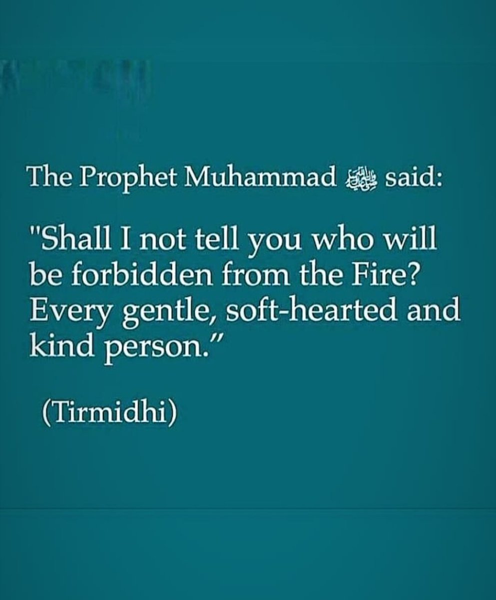 AmenaAlam5's tweet photo. Don't take lightly who are #soft_hearted, #kind and #gentle toward you and others. Maybe you think, they're fool but in reality, they're going to be the winners. Don't forget its value to be a nice and honest person.
#Hadith #prophetMuhammed (sallallahu alaihi wa sallam)
#peace https://t.co/S4mJ7TagTT