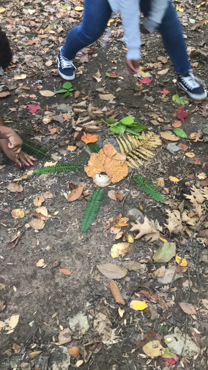 solaryouth's tweet photo. Both our Stewards &amp; Community Leaders in West Rock made their Harvest Mandalas this past week! 

 #Mindfulness #EnvironmentalExploration #Mandalas #HarvestTime #YouthArt https://t.co/HYr6KLErIr