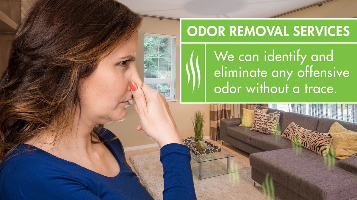 Is there a foul stink in your home or business? Let us sniff it out. 

Call us at 843-665-4949 or visit servproflorencecounty.com and we can help! #SERVPRO #SERVPROCleaned