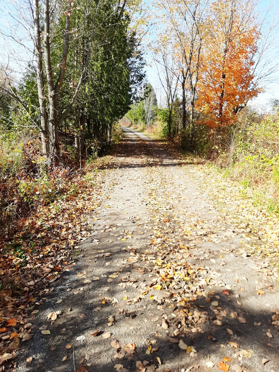 GordonTilley20's tweet photo. Fantastic sunny day to crank out a few more km's along the Trans Canada Trail https://t.co/TQMcywhik3