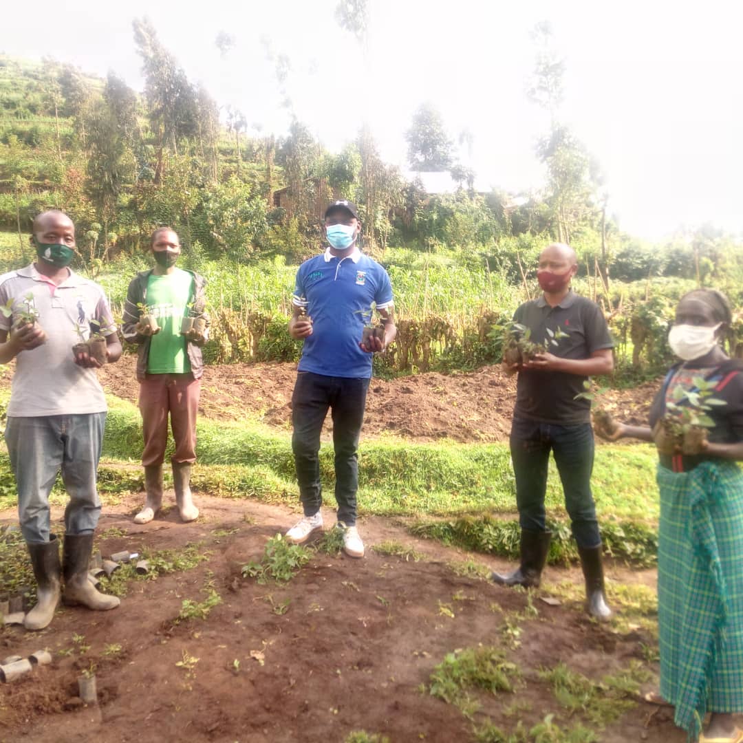 Abagize DASSO bifatanyije n'abaturage bo mu Murenge wa Mukamira, Akagari ka Rurengeri, ku wa 23/10/2020, mu muganda wo gutangiza igihembwe cyo gutera amashyamba, batera ibiti bivangwa n'imyaka.