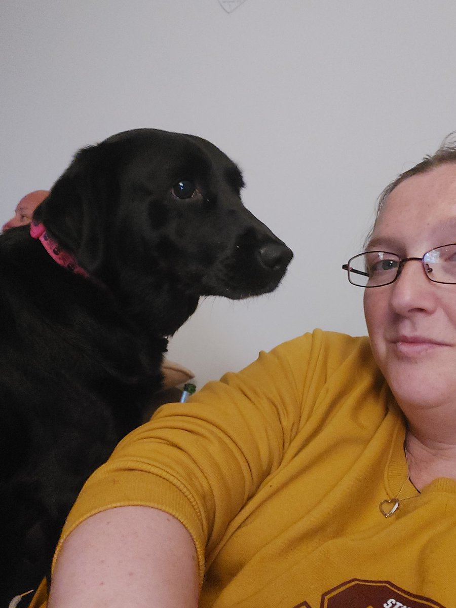 SarahJCraig1's tweet image. Didn't take long for her to cross over. Little sodpot. #mollydog #sofadog