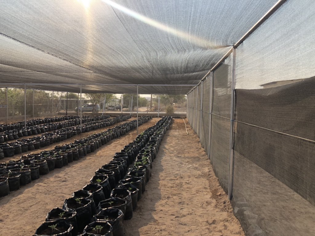 MariusSheya's tweet photo. This afternoon proceeded to Khorixas to witness the Youth Self Employment Horticulture Project  launch in Khorixas by Hon. @e_kanema (MSYNS). The project sets up greenhouses to support young green thumbs in their contribution to food security. https://t.co/DQhkk0Z1dD