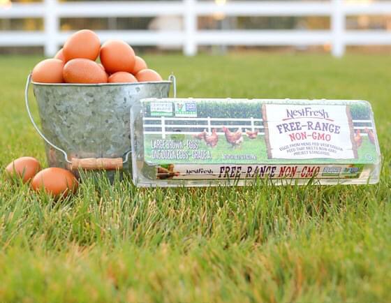 BrainerdMacKid's tweet photo. Win a dozen eggs from NestFresh Eggs! NestFresh Eggs are delicious and use regional, family-owned farms to produce and supply farm fresh NestFresh Eggs in a local, sustainable system. #mknestfresh #ad https://t.co/Xv0QD4nNOL https://t.co/4LneZEEIoF