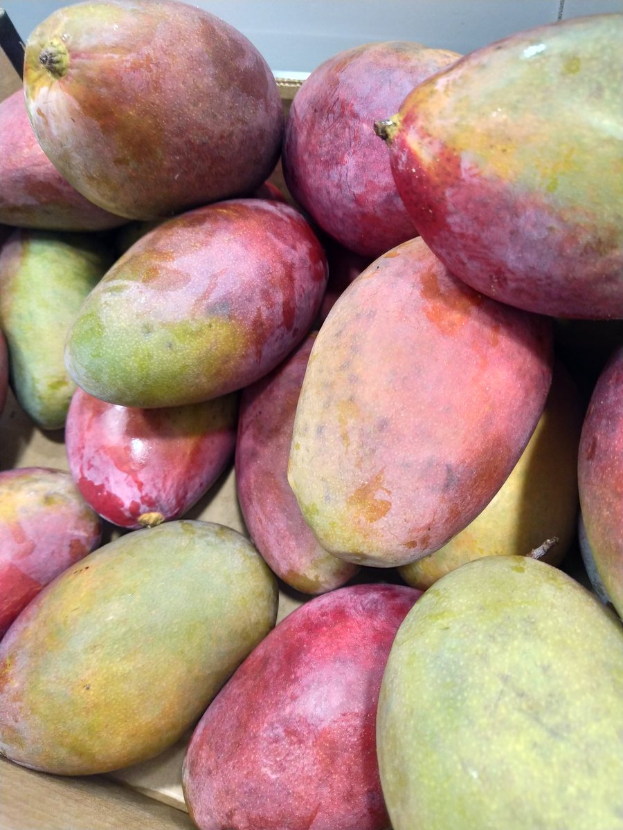 Pues hoy tocó unos mangos de arte.
60%  de fruta llevan nuestras cremas y los 40 % restante  de equilibrio a base de algas ,agua y azúcares