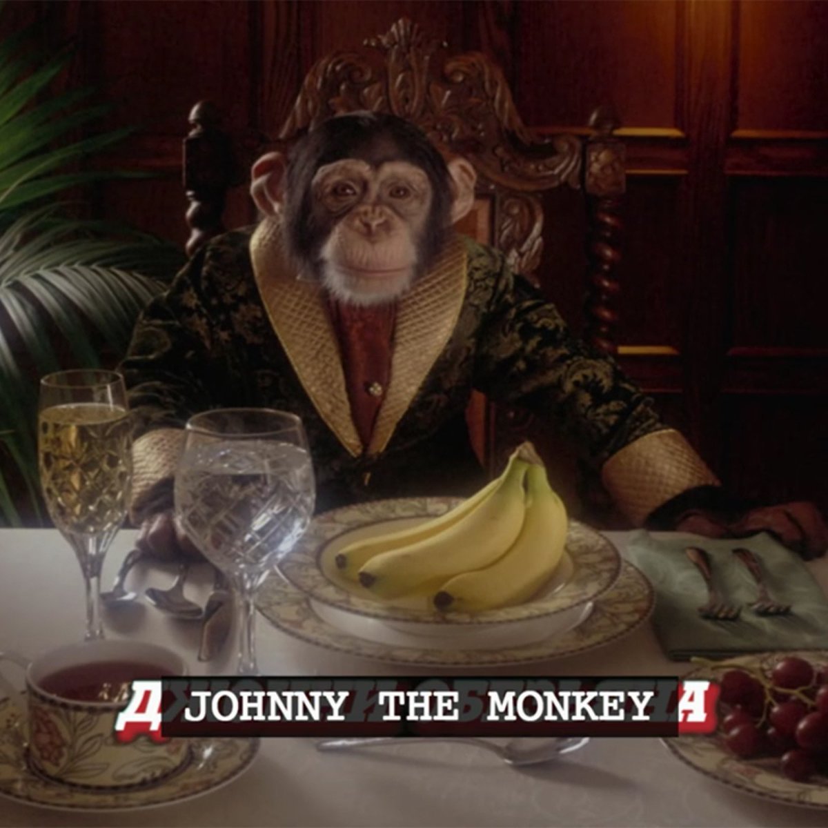 26. Johnny the Monkey - 100/10- kazakhstan royalty- RIP king