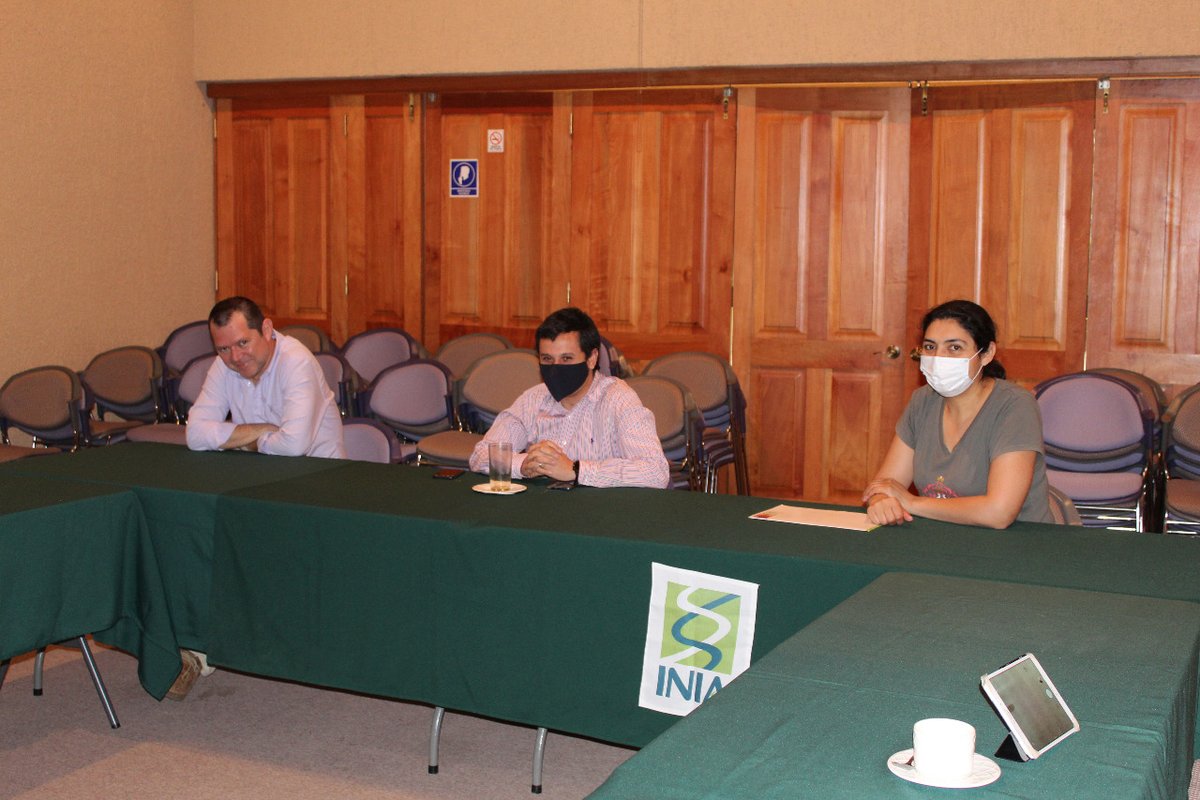 INIARaihuen's tweet photo. Trabajo colaborativo entre @iniachile y @FIA_Chile a través del #programaextensionberries junto al Gobierno Regional Maule @IntendenciaVII se traduce en Módulos Temáticos para promover prácticas innovadoras, registro de adaptación y comportamiento de frambueso y arándano en Maule https://t.co/LUK5Ss8daP