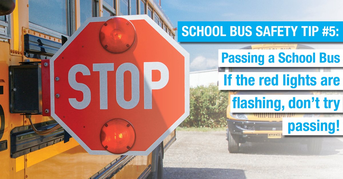 southlandbus's tweet photo. This week is #SchoolBusSafetyWeek! In recognition, we will be sharing safety tips from Oct 19 - 23.

Passing School Buses:
• Never pass a school bus with it's stop arm out or red lights flashing. Passing a school bus with its alternating red lights on could cause serious injury. https://t.co/tGWPgKxTJf